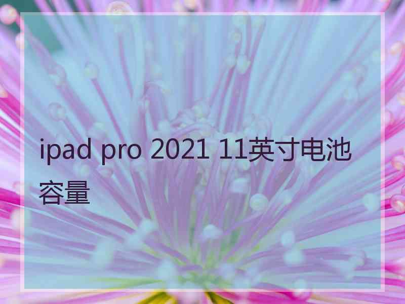 ipad pro 2021 11英寸电池容量