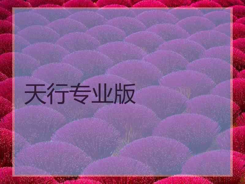 天行专业版