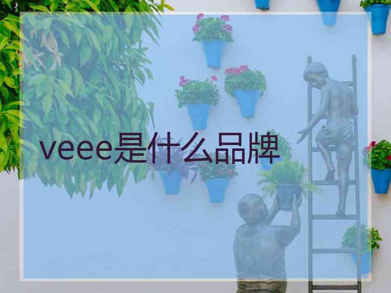 veee是什么品牌