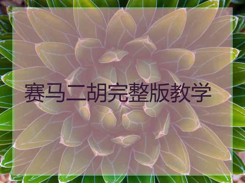 赛马二胡完整版教学