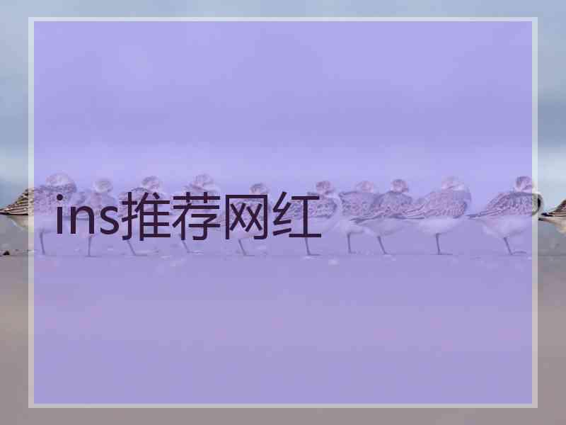 ins推荐网红
