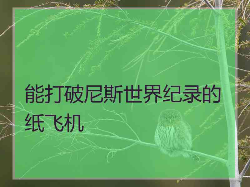 能打破尼斯世界纪录的纸飞机