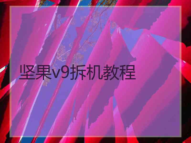 坚果v9拆机教程