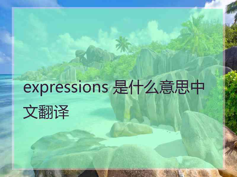 expressions 是什么意思中文翻译