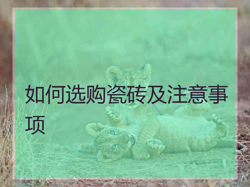 如何选购瓷砖及注意事项