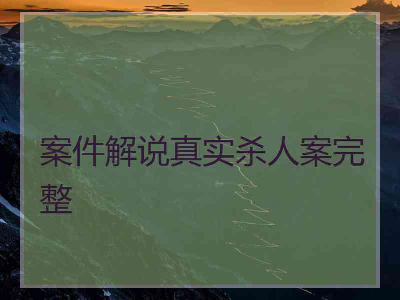 案件解说真实杀人案完整
