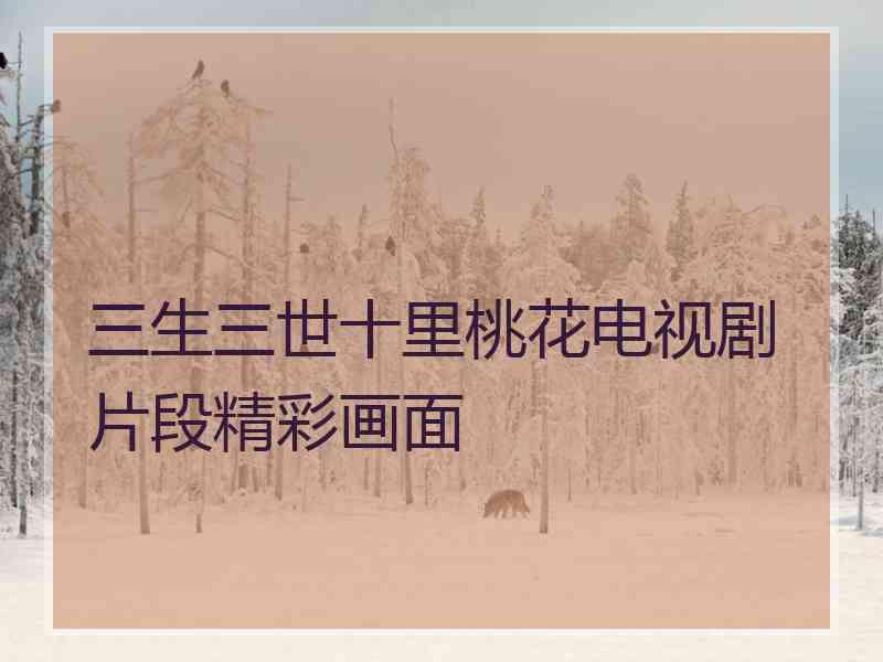 三生三世十里桃花电视剧片段精彩画面