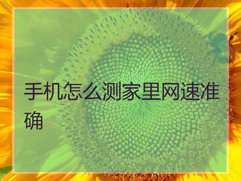 手机怎么测家里网速准确