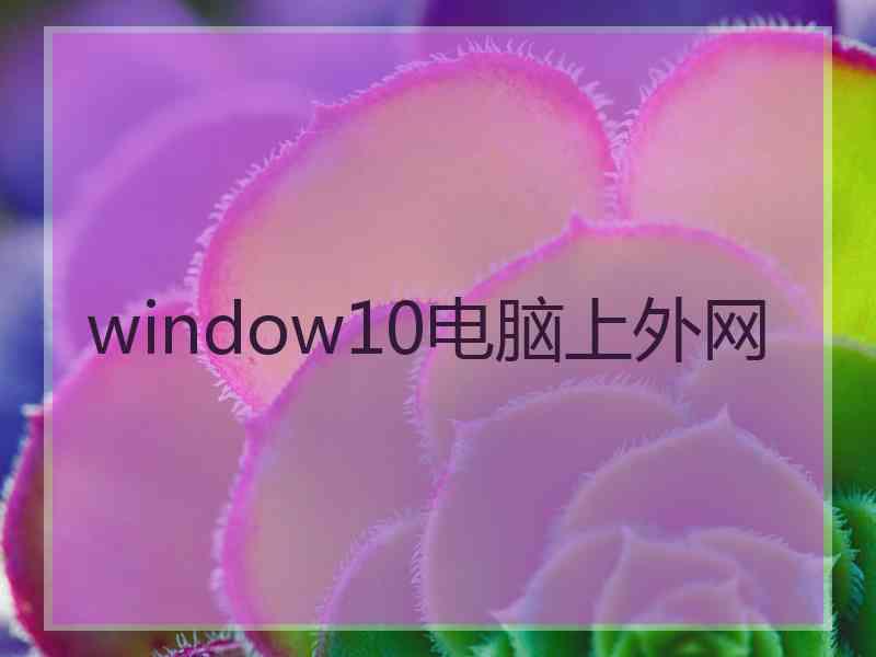 window10电脑上外网