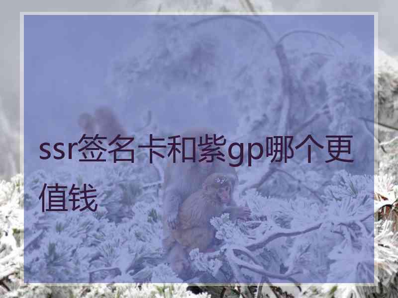 ssr签名卡和紫gp哪个更值钱