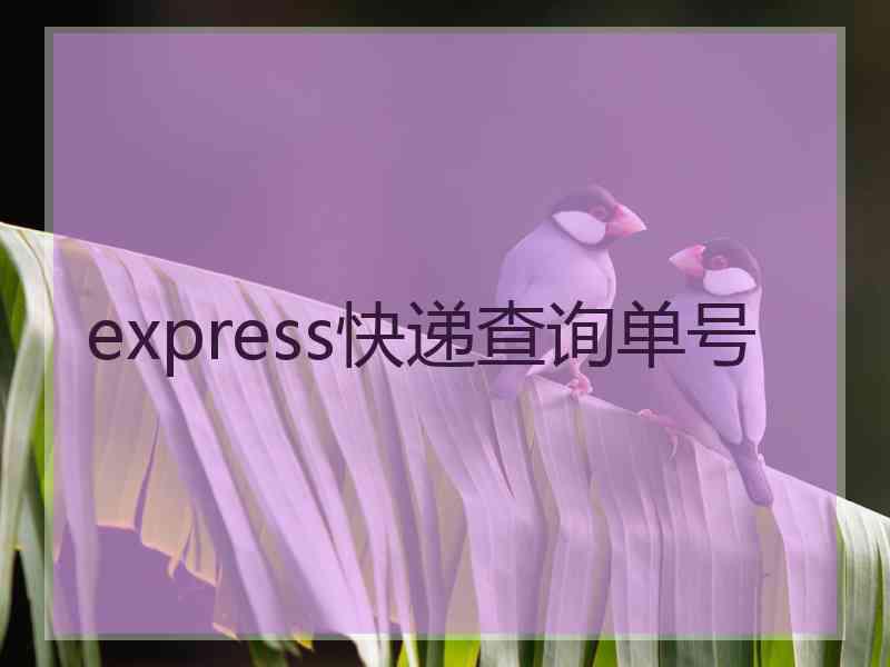 express快递查询单号