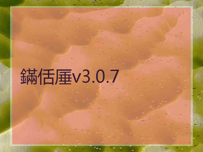 鏋佸厜v3.0.7