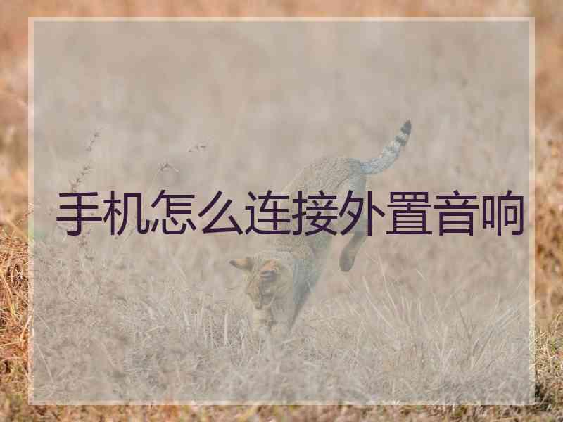 手机怎么连接外置音响
