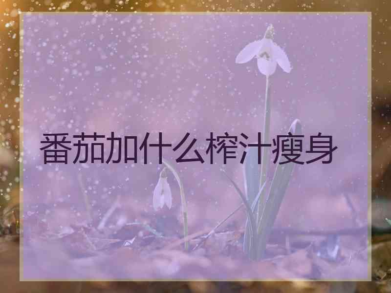 番茄加什么榨汁瘦身