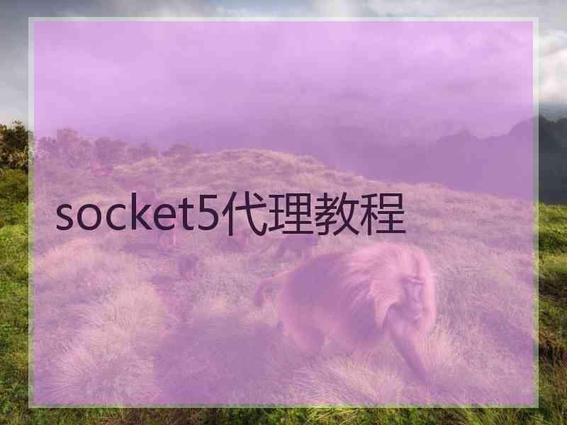 socket5代理教程
