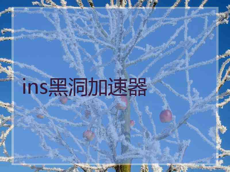 ins黑洞加速器