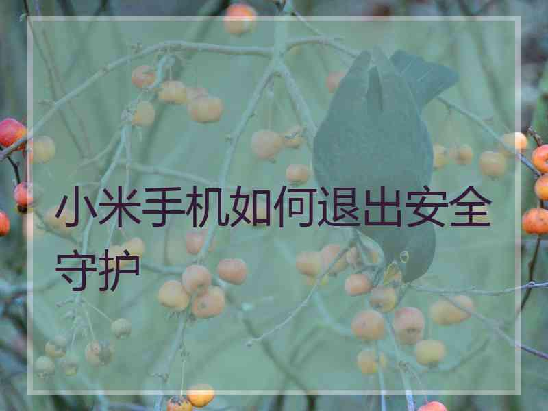 小米手机如何退出安全守护