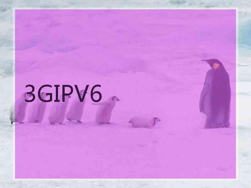 3GIPV6