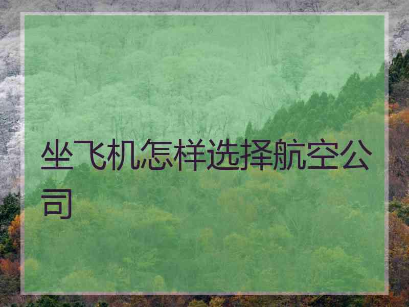 坐飞机怎样选择航空公司