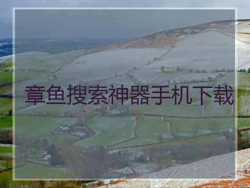 章鱼搜索神器手机下载