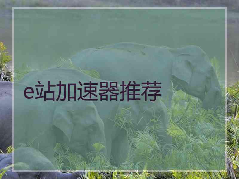 e站加速器推荐