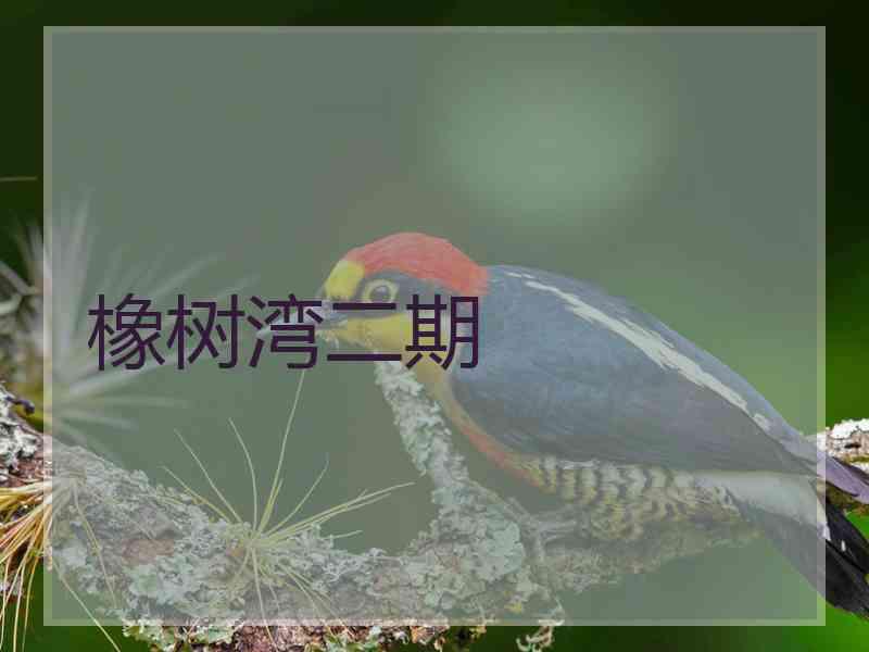 橡树湾二期