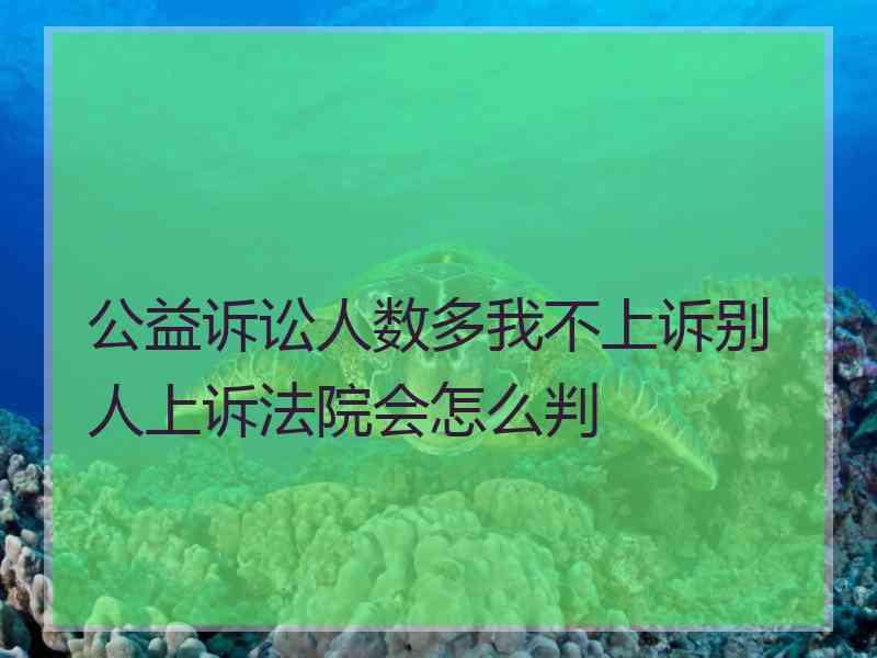 公益诉讼人数多我不上诉别人上诉法院会怎么判