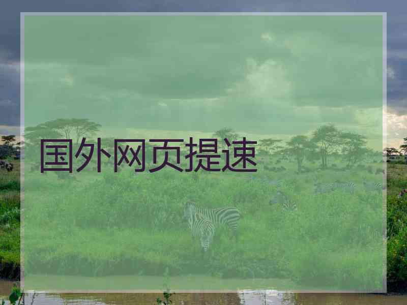 国外网页提速