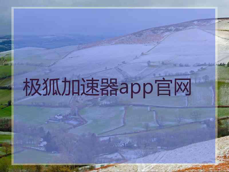 极狐加速器app官网