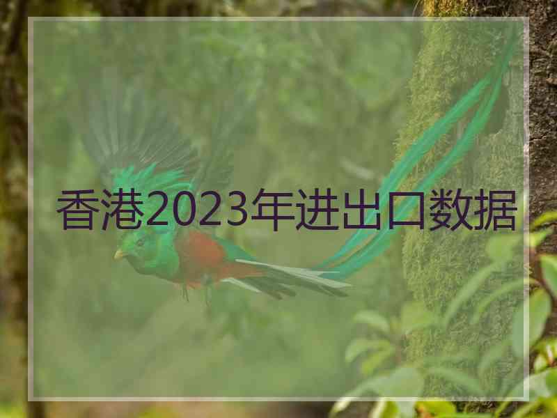 香港2023年进出口数据