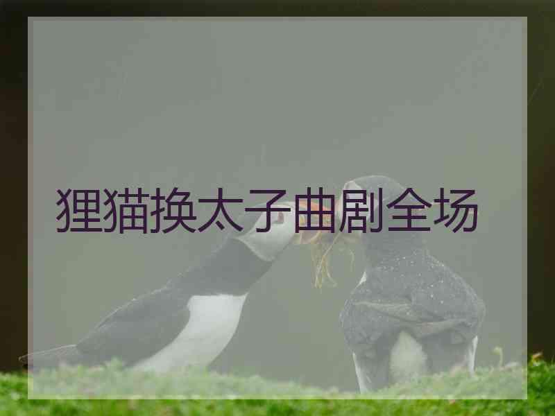 狸猫换太子曲剧全场