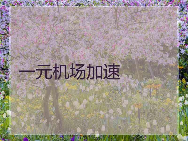 一元机场加速