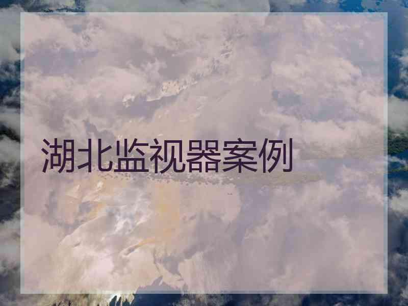 湖北监视器案例