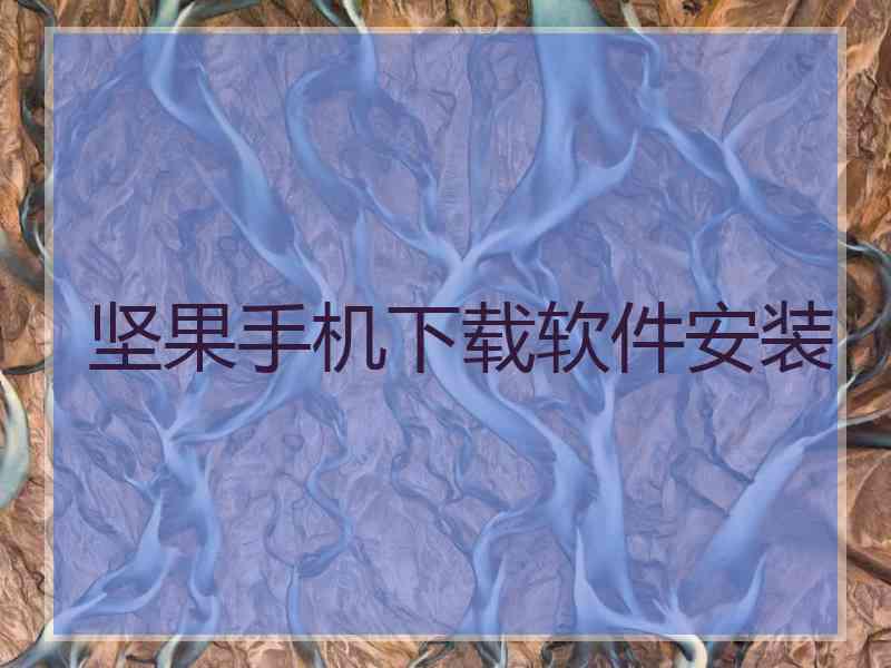坚果手机下载软件安装