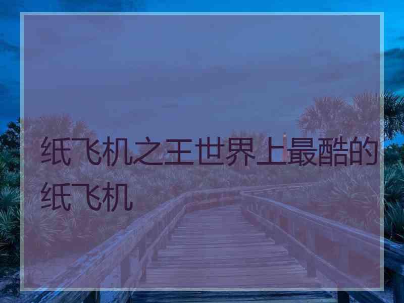 纸飞机之王世界上最酷的纸飞机