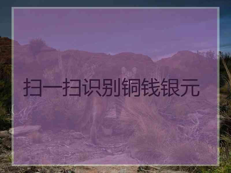 扫一扫识别铜钱银元