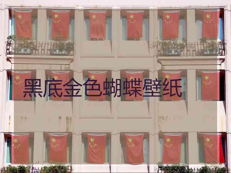 黑底金色蝴蝶壁纸