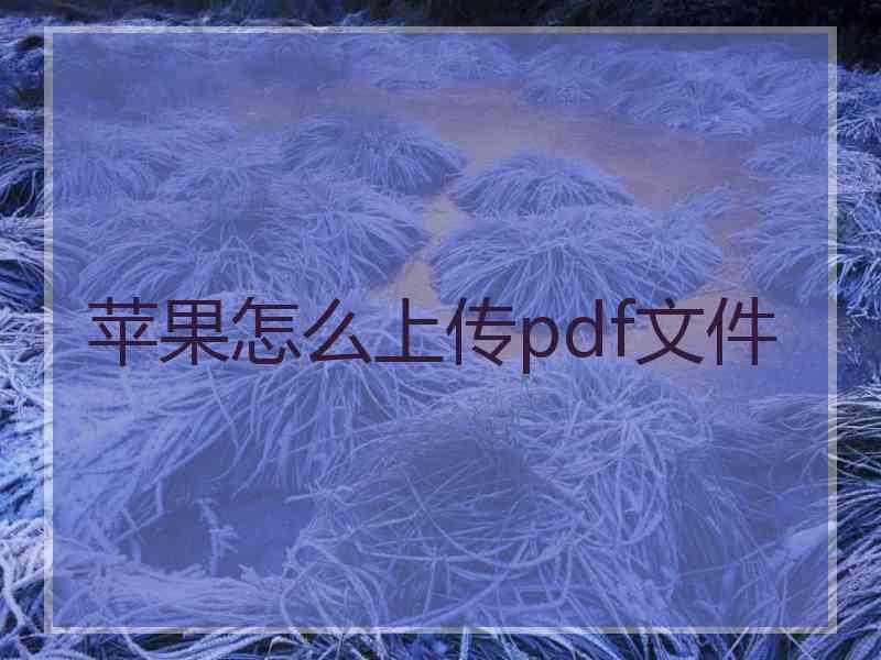 苹果怎么上传pdf文件