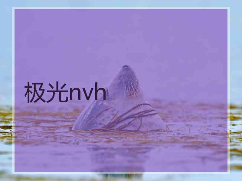 极光nvh