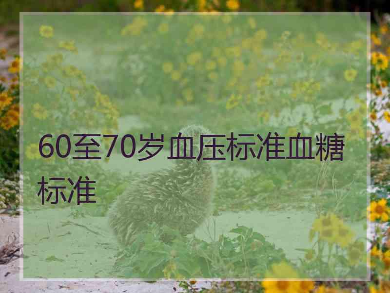 60至70岁血压标准血糖标准