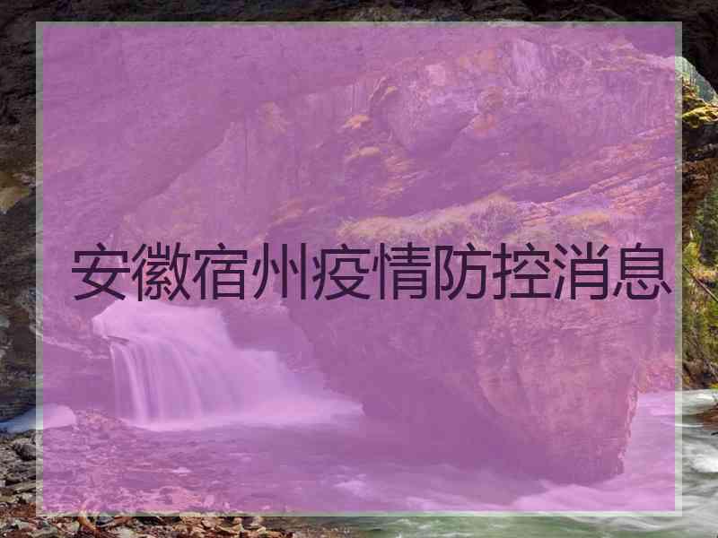 安徽宿州疫情防控消息