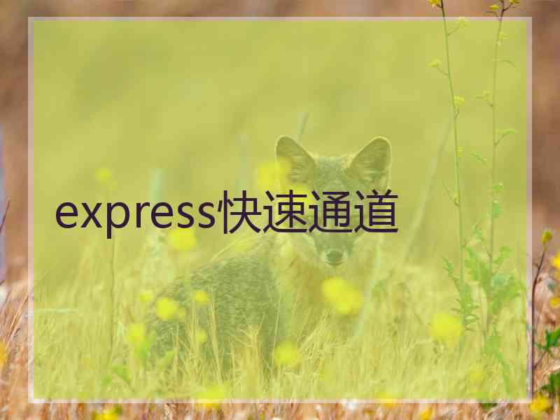 express快速通道
