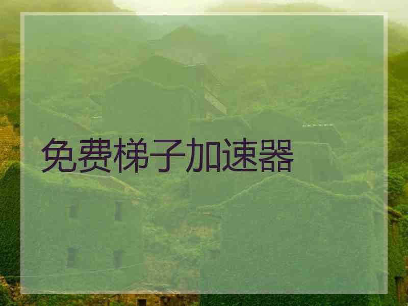 免费梯子加速器