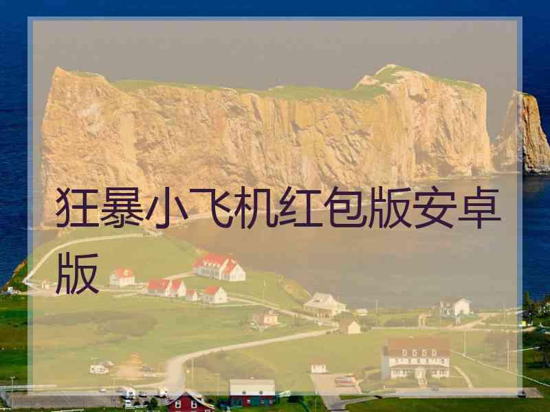 狂暴小飞机红包版安卓版
