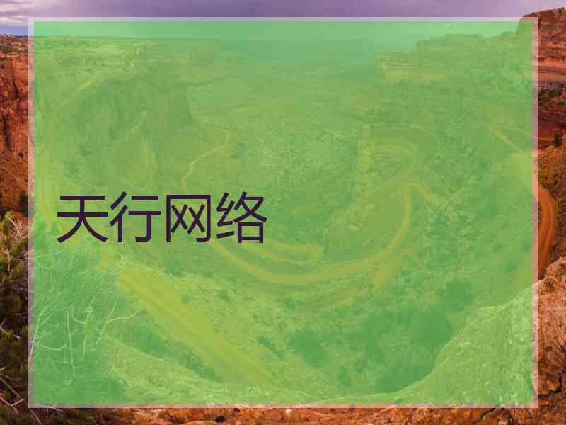 天行网络