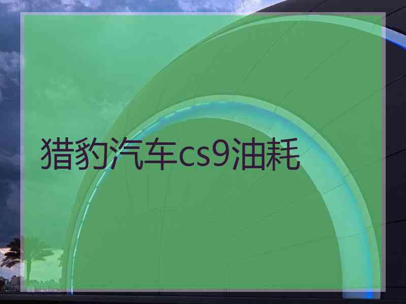 猎豹汽车cs9油耗