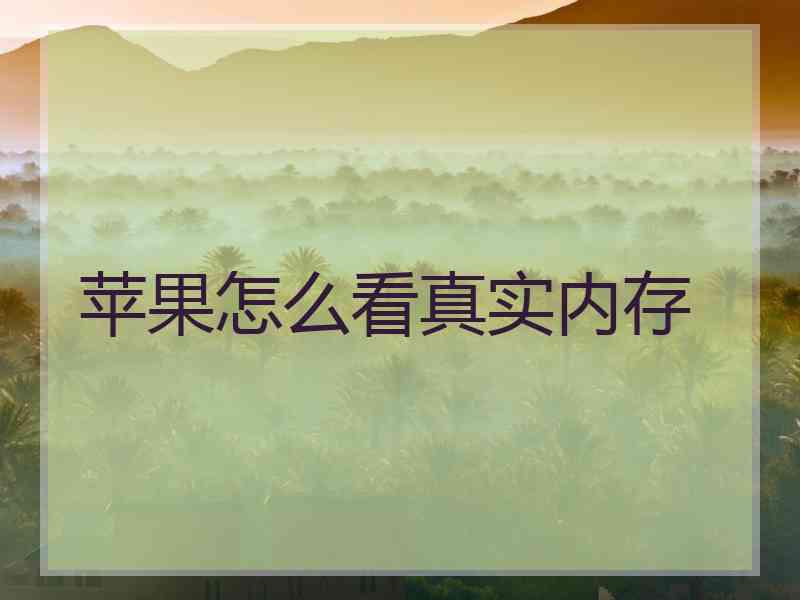 苹果怎么看真实内存