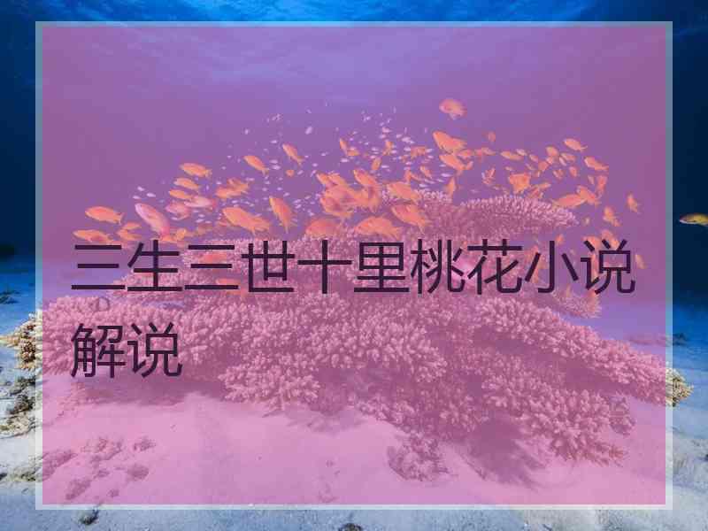 三生三世十里桃花小说解说