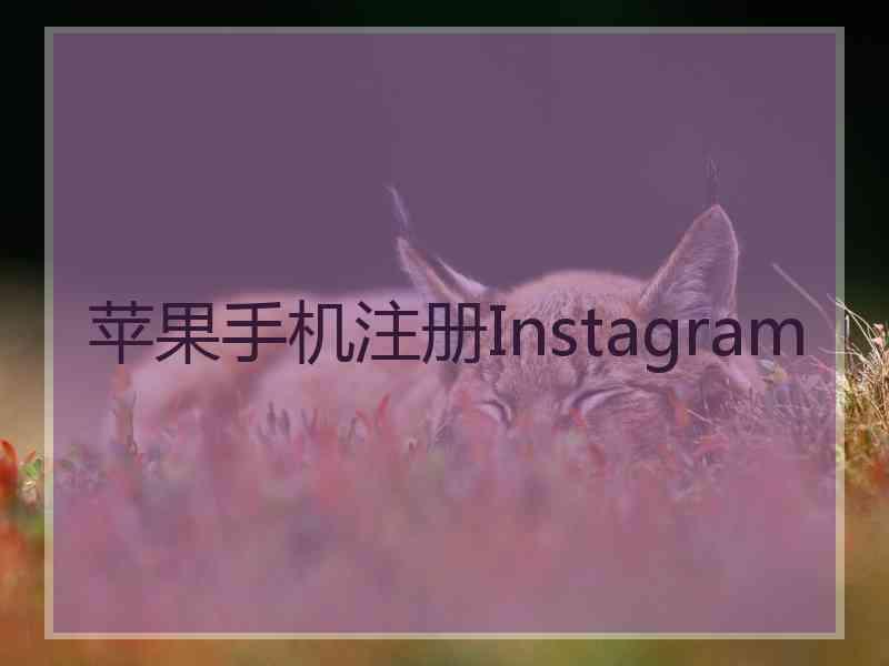 苹果手机注册Instagram