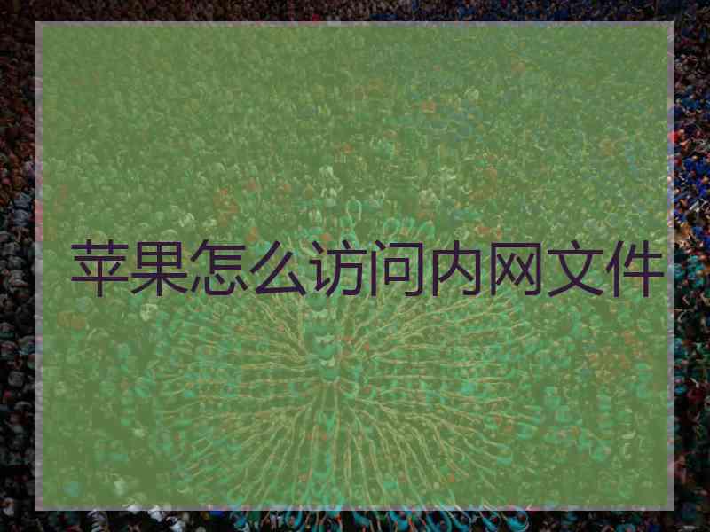 苹果怎么访问内网文件